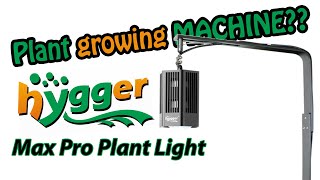 Hygger MAX PRO Light - Worth the $$$ ? | 77 Day MEGA REVIEW!