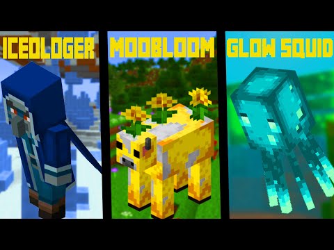 I NUOVI 3 MOB DI MINECRAFT ITA 1.17!!