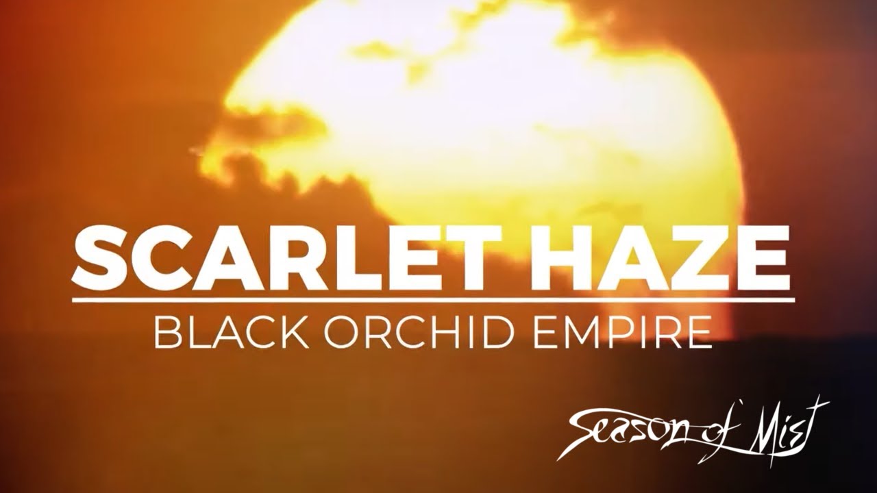 Black Orchid Empire - Scarlet Haze (Official Lyric Video) 2023 - YouTube