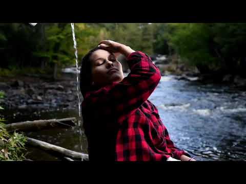 Adirondack Shampoo Bars Adirondack Handmade Natural Lilac Shampoo Bar