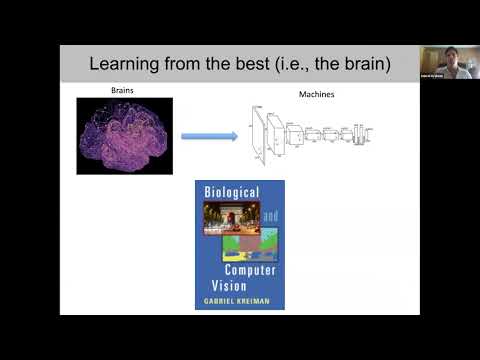 When pigs fly: contextual reasoning in man and machines - Gabriel Kreiman