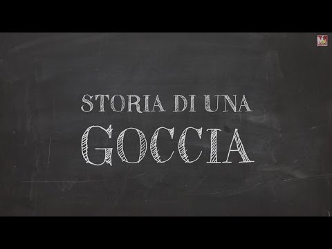 La puzzola come bandire vermi a una puzzola Parassiti di medicina in un fegato