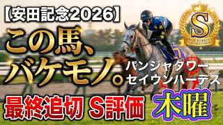 🎯【安田記念2026】木曜追いで覚醒か?|パンジャタワー・セイウンハーデス他、最終追い切りS評価のバケモノは入れ替わるのか?7歳馬ガイアフォースの意地