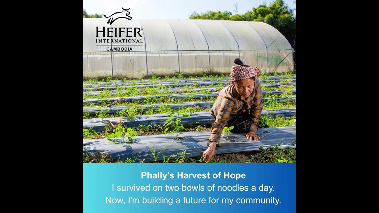 Seeds of Progress: Transforming Cambodian Agriculture Through Greenhouses