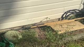 Watch video: Under the Siding of Home Are Yellow Jackets in Neptune, NJ