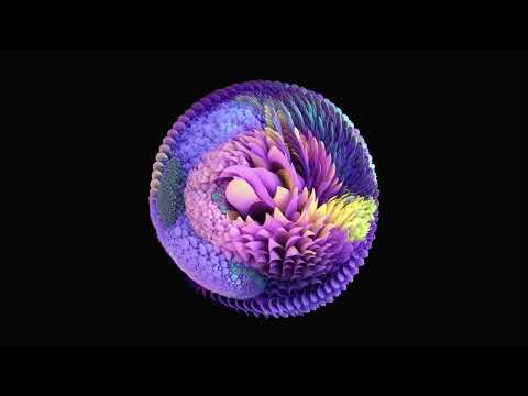 Nicolas Bougaïeff - Organelle (Official Audio)