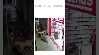 Você investe em americanas? meme #meme