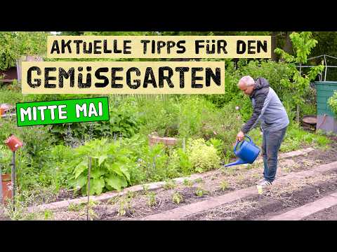 Gartenarbeiten, Aussaaten und Gemüse pflanzen nach den Eisheiligen 2026 - Selbstversorgung im Mai