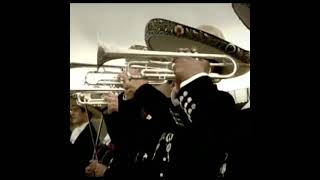 toquen mariachis canten los temerarios deja en los comentarios cuál canción quieres escuchar