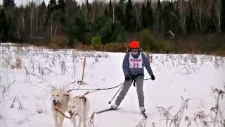 preview picture of video '2015 Merrill Winterfest Skijoring Sled dog race'