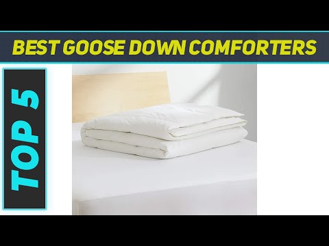 Top 5 Best Goose Down Comforters 2023
