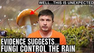 Mushrooms Have an Ability to Control Rain According to New Study