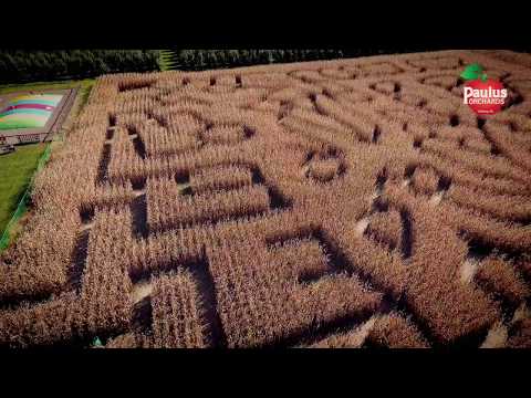 Paulus Orchards Eight Frames Films Promo