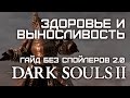 Dark Souls II Гайд без спойлеров 2.0 - ОЗ, Выносливость и груз 