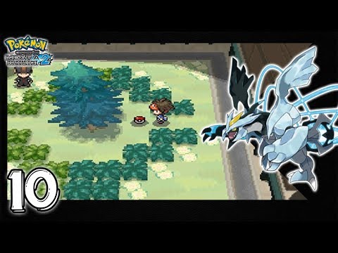 Pokemon Negro 2 RandomLocke | Ep 10 | Y DESPUES DEL DESASTRE...