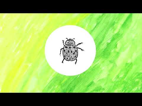 Gerr Walsh - Wilding Wood (Official Visualiser)