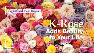 [Agrafood Field Report EP.02] Love for roses is great in Korea as well