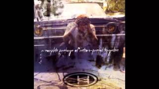 The Buzzhorn - Holy Man