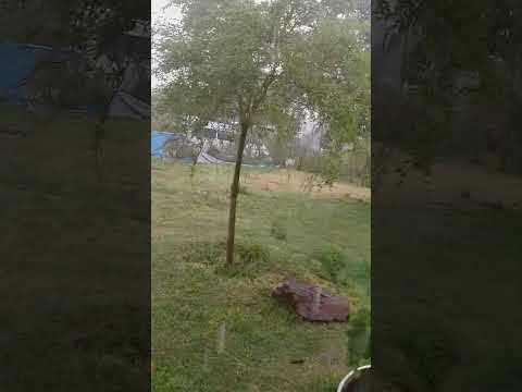 Salsipudes(Cordoba)Argentina