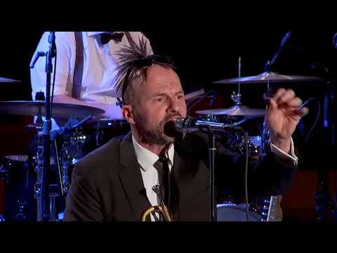 Boogie don´t stop the boogie