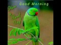 Good Good Wala Good Morning