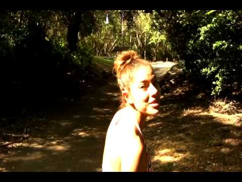 Debi Nova - Website Anouncement