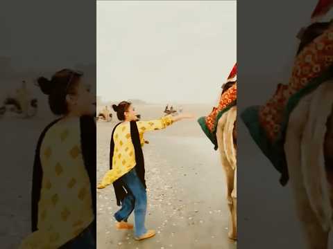 Ount Wala Kehta LAAT Marega 😂 #shortsfeed #viral #beach #cattleworld #trending #camel #shorts