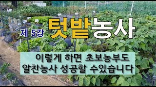 제 5강 텃밭 농사 이렇게 하면 초보 농부도 알찬 농사 성공할 수 있습니다. #텃밭 가꾸기 #주말 농장 가꾸…