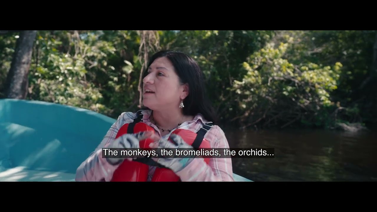 Project video