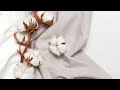 How Are Cotton Fabrics Made The History Of Cotton
