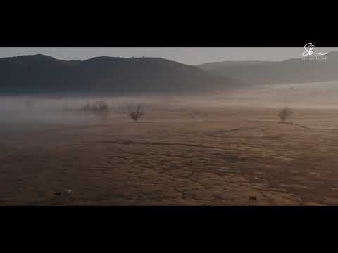 Vrazhdësia e zemrës - Hoxhë Sadullah Bajrami