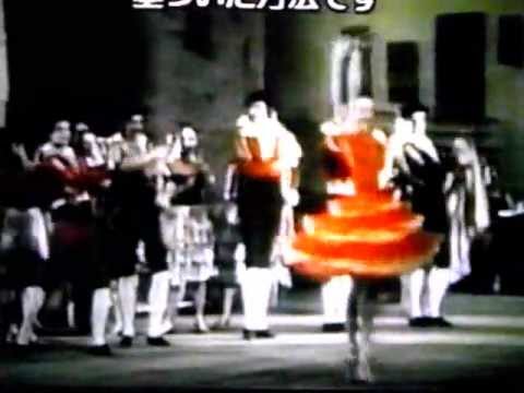 galina mezentseva  don quixote