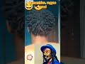 Where the Tree Falls, There It Shall Lie until Judgement 😀🤩 #reggae #culture #josephill