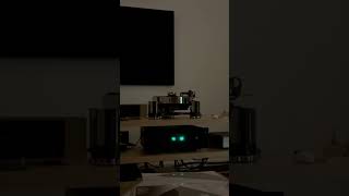 Massive Attack “Sly” on vinyl.  From the album Protection.