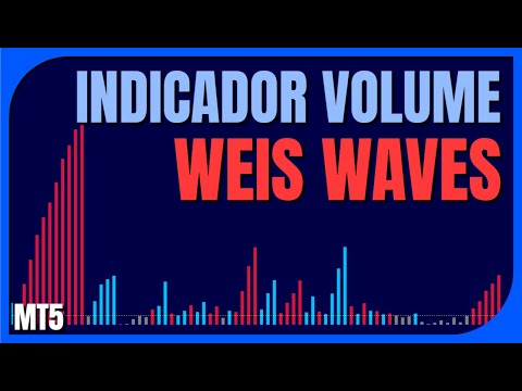 Video LT Weis Waves