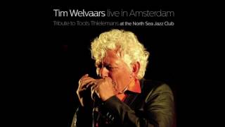 Tim Welvaars live in Amsterdam, Tribute to Toots Thielemans - Dat mistige rooie beest