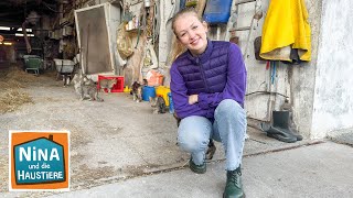 Download lagu Hilfe für Streunerkatzen | Information für Kinder | Nina und die Haustiere | BR mp3