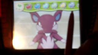 Capturing Shiny Alolan Form Rattata During S.O.S. Encounter In Pokemon Ultra Moon!