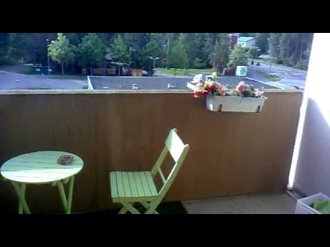 Video kännykästäni & jotain höpinää