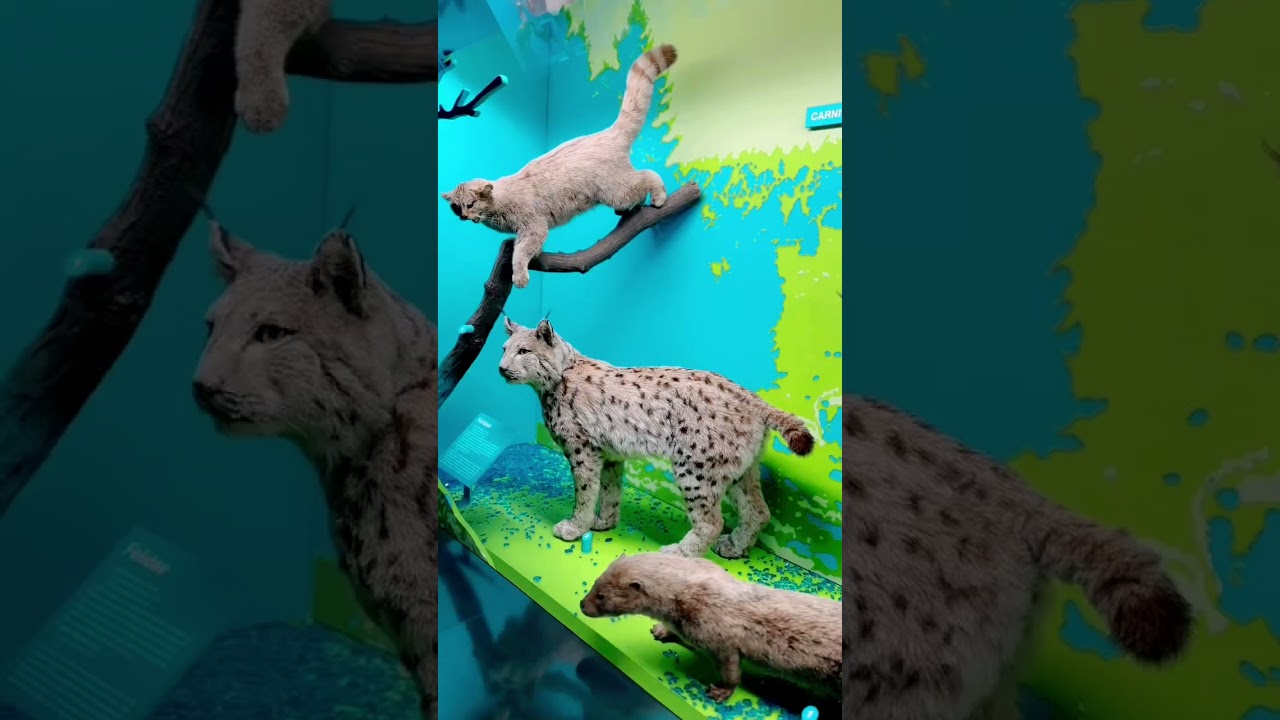 YouTube Short thumbnail