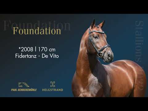 Foundation - Dressurkollektion 2022 Schockemöhle & Helgstrand (DEU)