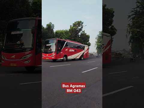 Bus Agra Mas BM 043 New Setra Jetbus 2 #bus #busmania #agramas