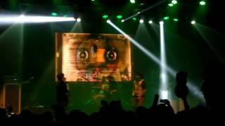 Paquidermo Lanzamiento dejando libre el amor Chancho en Piedra