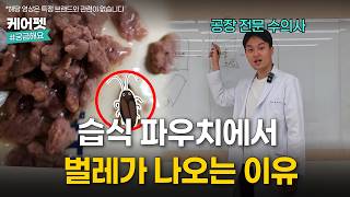 강아지 고양이 사료에서 벌레가 발견되는 이유
