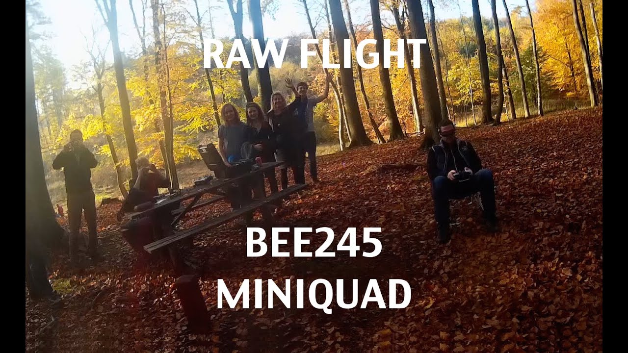 RC kvadrokoptéra BEE245