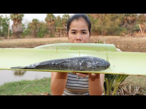 Yummy Cooking Grilled Fish In Skin Banana Tree Recipe -Grilled Fish Eating Delicious - Cooking Skill