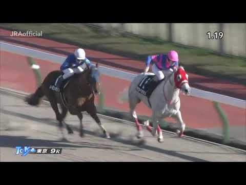 2020.11.28 Cattleya Stakes (JPN) - Lemon Pop