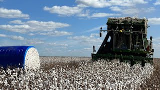 Colheita de Algodão no Mato Grosso