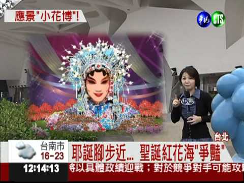 聖誕紅花海 小花博搶先看