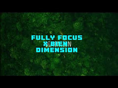 Fully Focus  ft Bien Dimension(video lyrics)